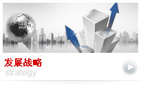 發(fā)展戰(zhàn)略